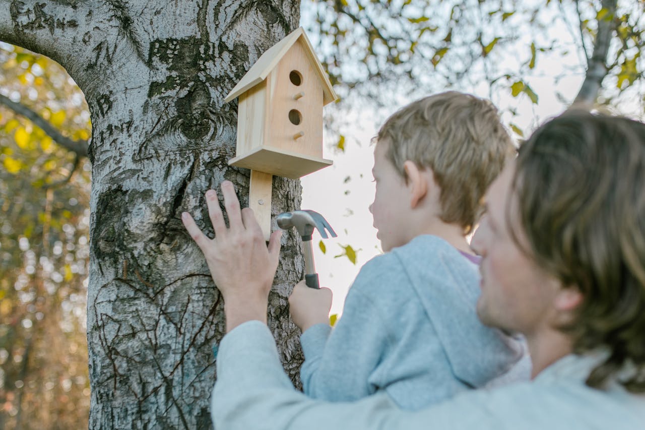boy and dad nailing bird nest to tree